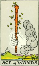 Ace of Wands